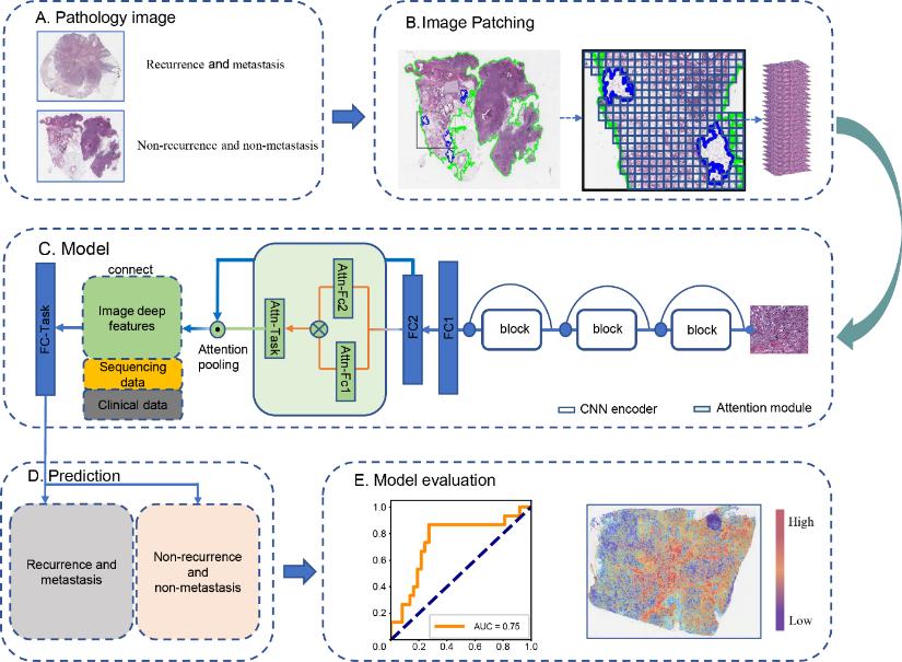 【成果宣介】我校数学与统计学院姚玉华教授在权威期刊《Briefings in Bioinformatics