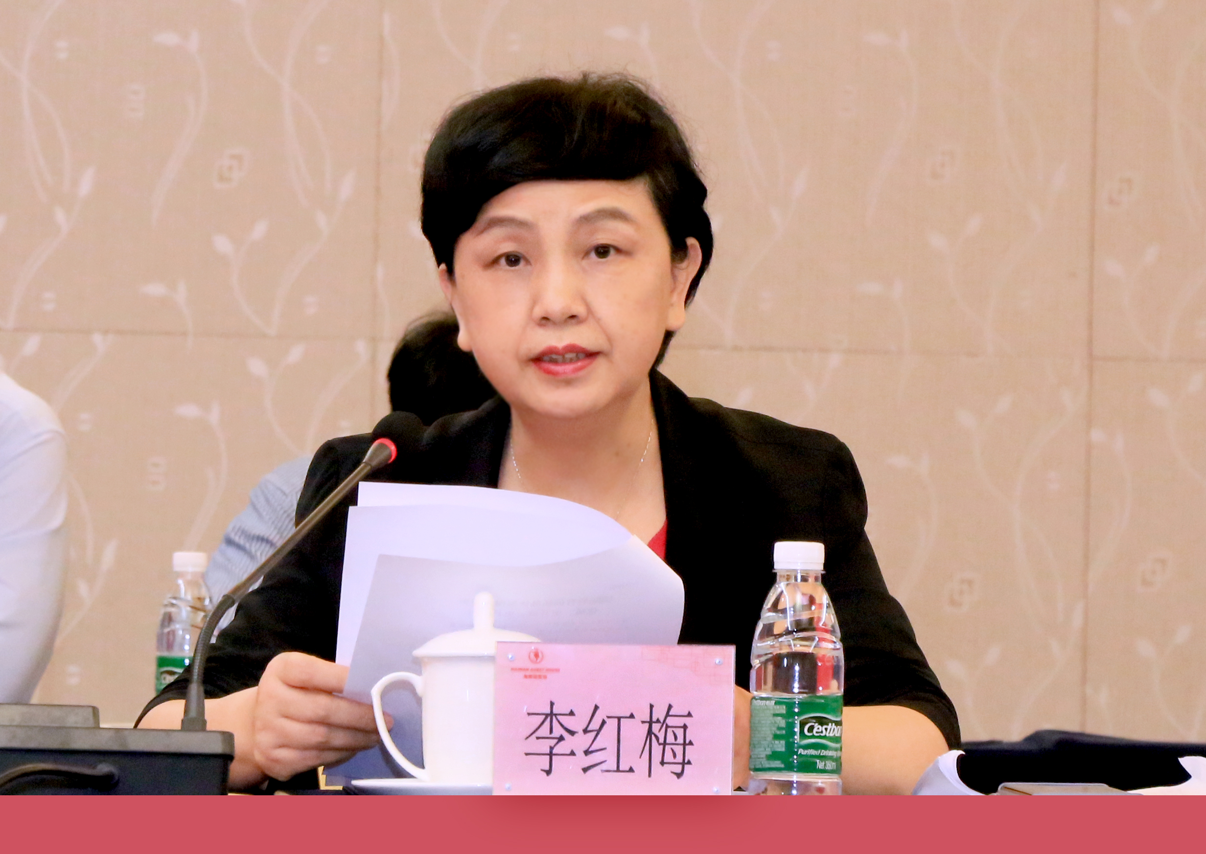 李红梅参加省社科界“‘4·13’改变海南”专题座谈会
